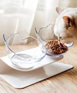 Anti-Vomiting Orthopedic Cat Bowl
