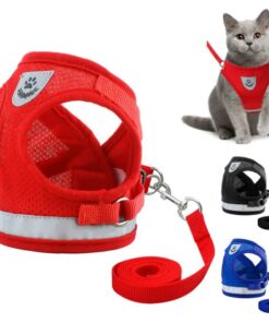 Adjustable Cat Harness and Leash Set