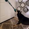 Tug Toy For Dogs