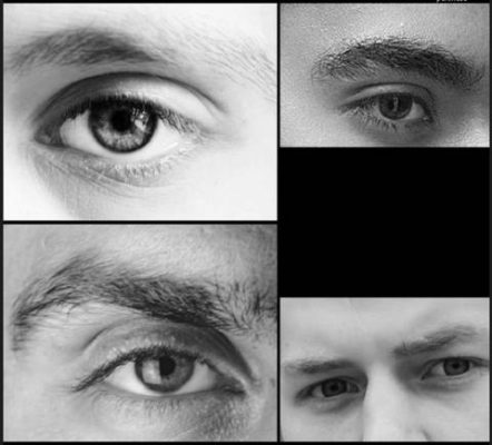 Deluxe Eyebrow Grooming Kit for Men