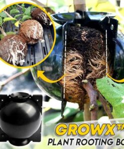 GrowX Plant Rooting Box