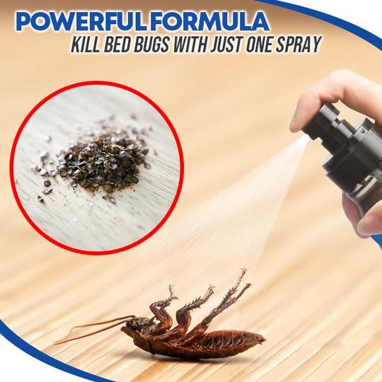 Anti-Dust Mite Eradicator Spray - Image 5