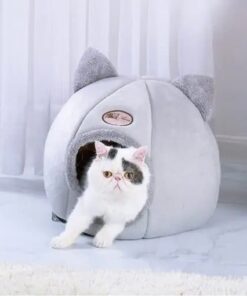 Foldable and Removable Cat Bed