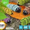 Magic Bug