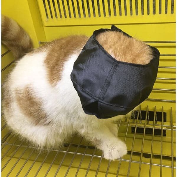 Calming Breathable Soft Cat Muzzle - Image 5