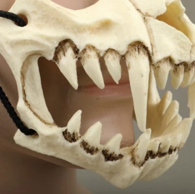 Tiger & Yaksha Mask