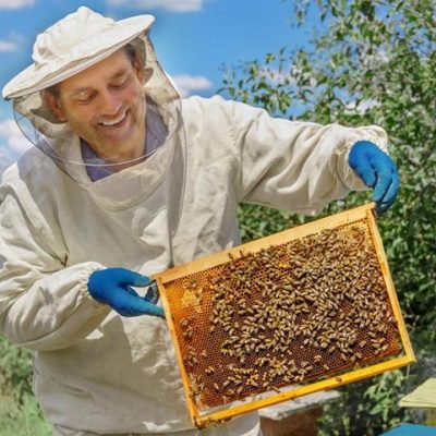 BeezyBees Lure Spray