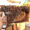 BeezyBees Lure Spray