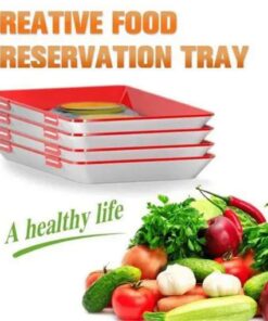 Creative Food Preservation Tray