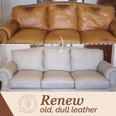 Leather Color Repair Balm
