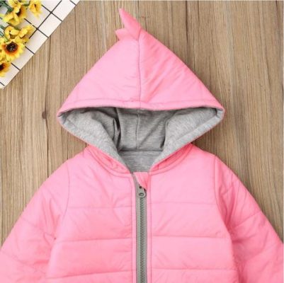 Dinosaur Swag Jacket