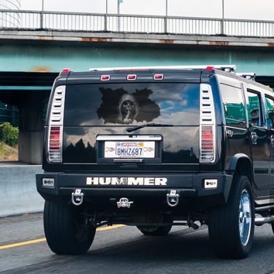 SILENT SKULL STICKER