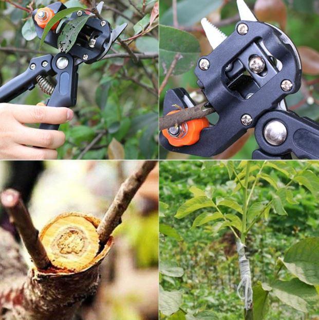 Professional Garden Grafting Tool - Image 5
