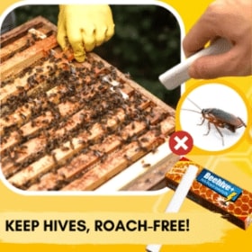 Beehive+ Anti-Roach Insecticide