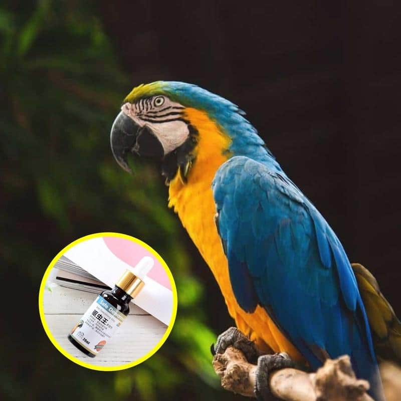 PlantGenic Bird Dewormer - Image 3