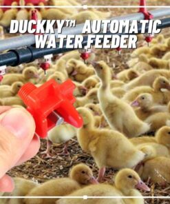 Automatic Water Feeder