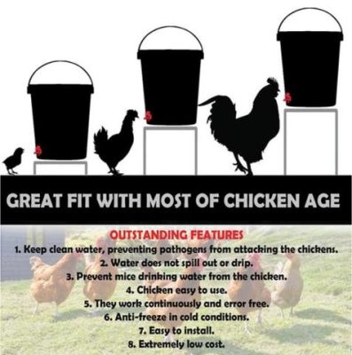 Duckky Automatic Water Feeder (10PCS)