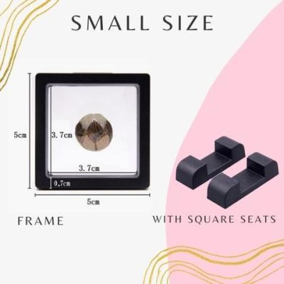 Jewelry Box For Women