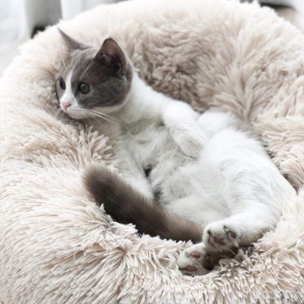 Calming Bed - Image 4