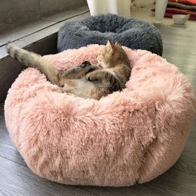 Calming Bed,calming dog bed,calming bed for dogs,calming pet bed,anti anxiety dog bed