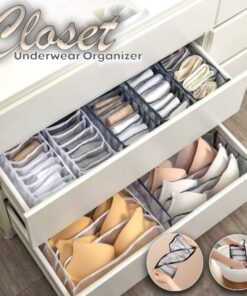 Closet Underwear Organizer