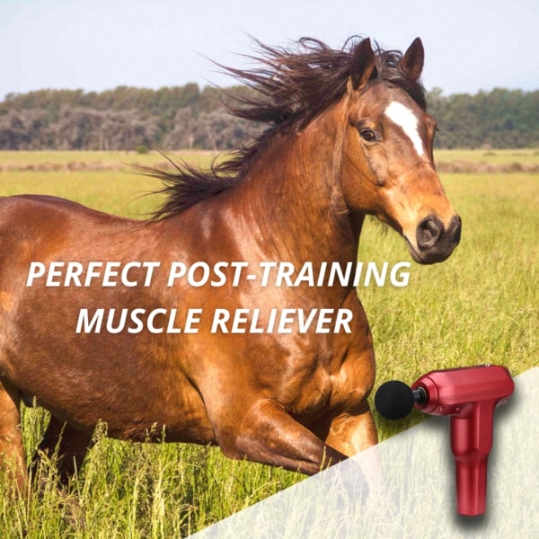 Equine+ Therapy Massager - Image 3