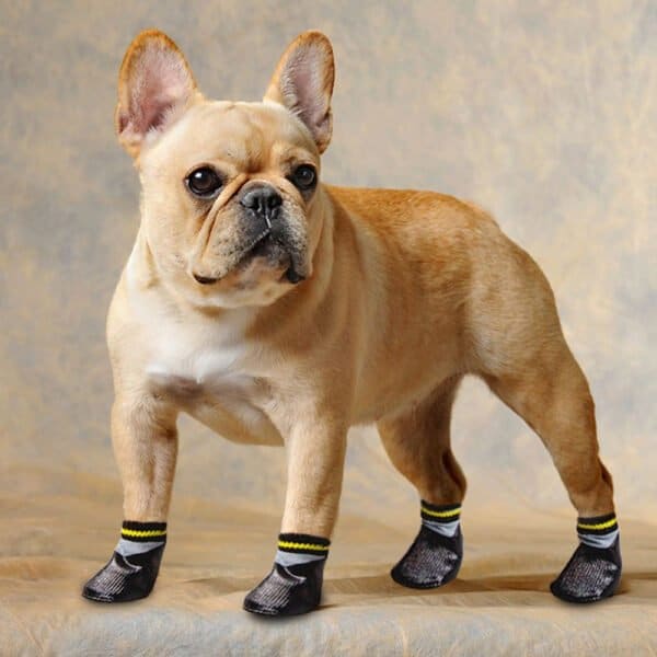 Milo Boot - Image 3
