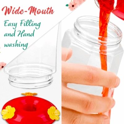 Hummingbird Feeder,humming bird feeder,glass hummingbird feeders,hummingbird feeders for sale,best hummingbird feeder