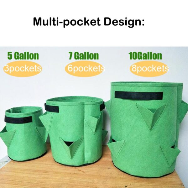 Strawberry Growing Bag - Image 2