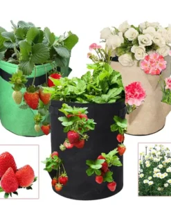Strawberry Growing Bag