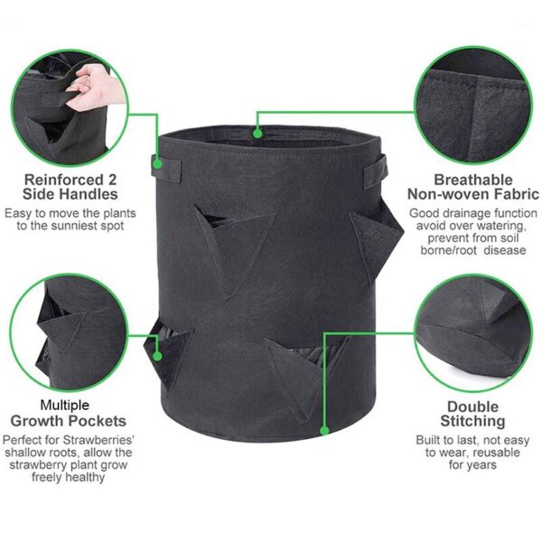 Strawberry Growing Bag - Image 4