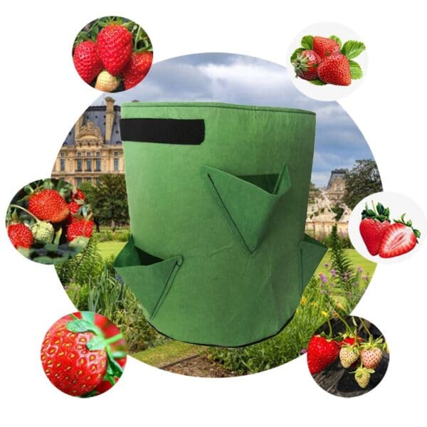 Strawberry Growing Bag - Image 5