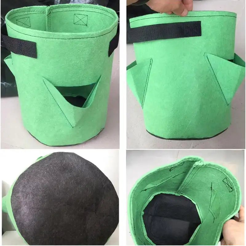 Strawberry Growing Bag - Image 6