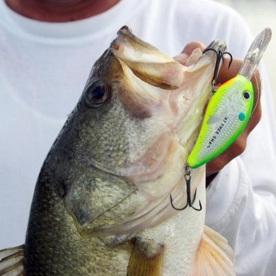 Fish Bait Gloss Coating,Fish Gloss Coating,Bait Gloss Coating,Gloss Coating,FisherPro Fish Bait Gloss Coating