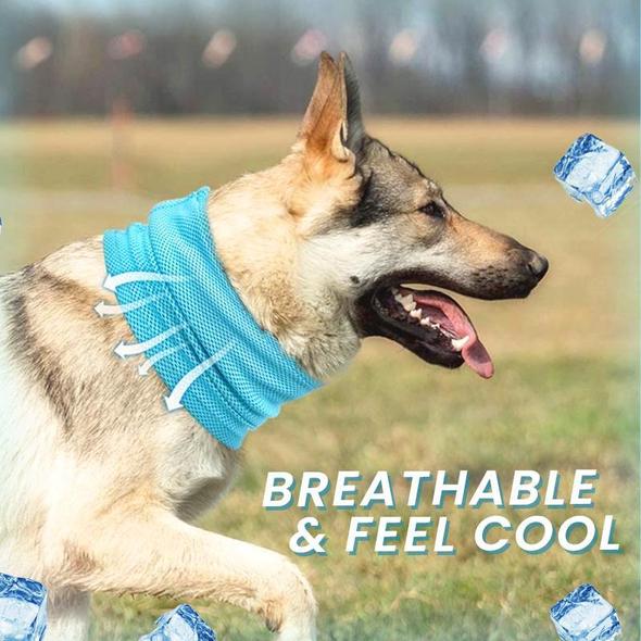 Magicool Dog Cooling Scarf - Image 3