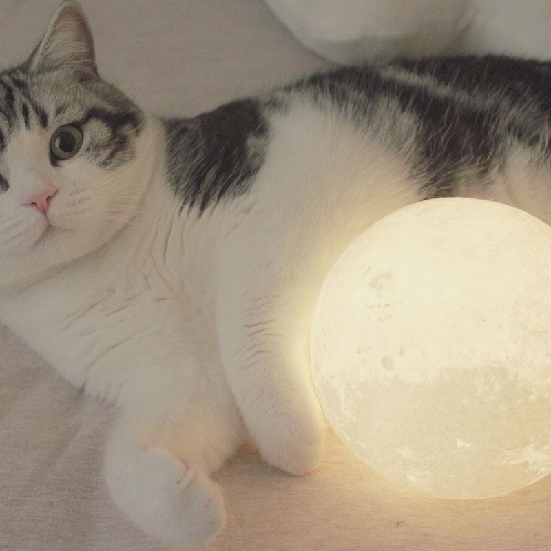 Moon Nightlight Lamp - Image 4