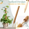 Stackable Plant Support