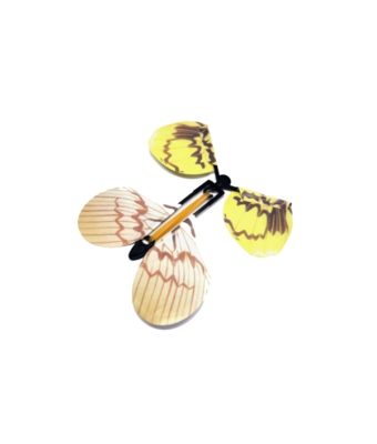 Magic Butterfly,Butterfly,The Magic Butterfly