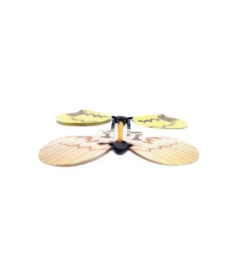 Magic Butterfly,Butterfly,The Magic Butterfly