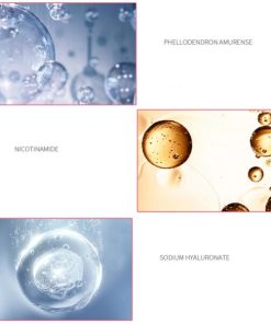 Face Primer,Under Foundation,Perfecting Base,Perfecting Base Face