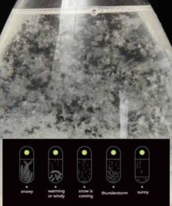 Storm Glass,Weather Predicting Storm,Weather Predicting,Storm,Predicting