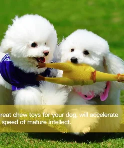Chicken Toy,Squeaky Toy,Chicken Squeaky Toy,Dog Squeak Chicken Toy