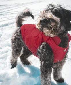 Warm Pet Jacket,Pet Jacket
