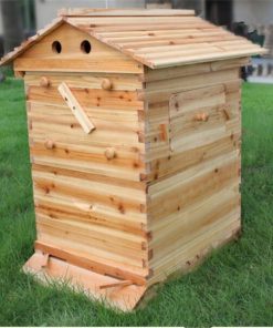 Honey Sweet,Honey Sweet Hive,Sweet Hive,honey