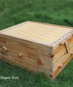 Honey Sweet,Honey Sweet Hive,Sweet Hive,honey