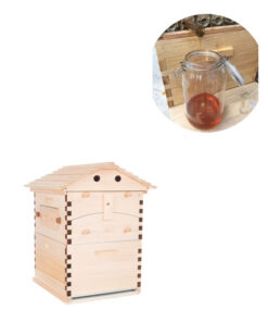 Honey Sweet,Honey Sweet Hive,Sweet Hive,honey