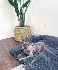 COZY BED,Calming Bed,Protector Calming Bed,Official Furniture Protector Calming Bed,Cozy Bed – Official Furniture Protector Calming Bed