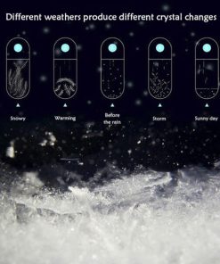 Storm Glass,Weather Predicting Storm,Weather Predicting,Storm,Predicting