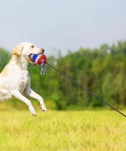 Dog Chew Toy,Chew Toy,Dog Chew,Toy,Outdoor Dog