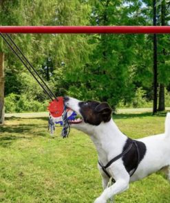 Dog Chew Toy,Chew Toy,Dog Chew,Toy,Outdoor Dog